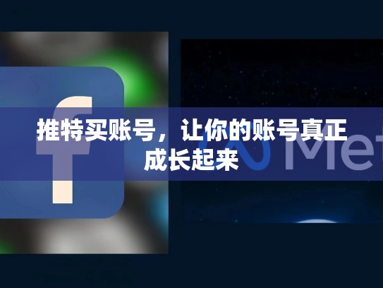 推特买账号,让你的账号真正成长起来