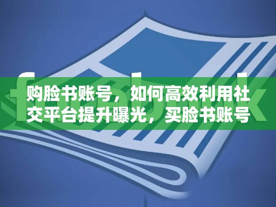购脸书账号,如何高效利用社交平台提升曝光,买脸书账号了,ds账号不用验证