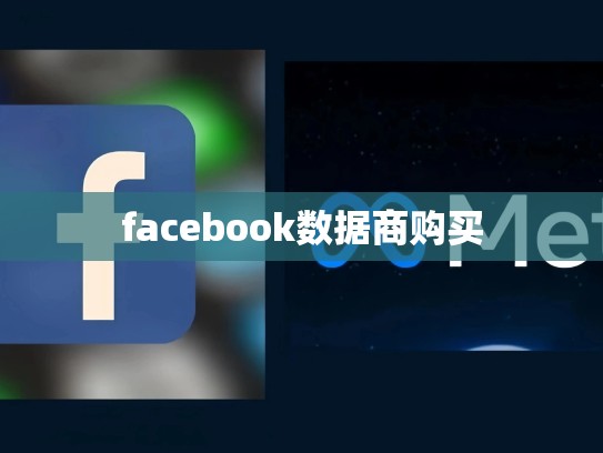 facebook数据商购买
