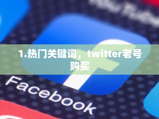 1.热门关键词,twitter老号购买