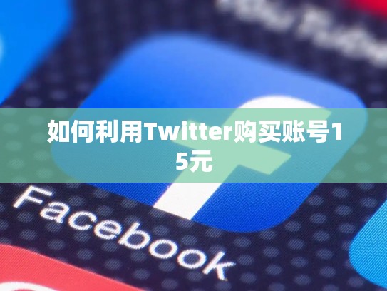 如何利用Twitter购买账号15元