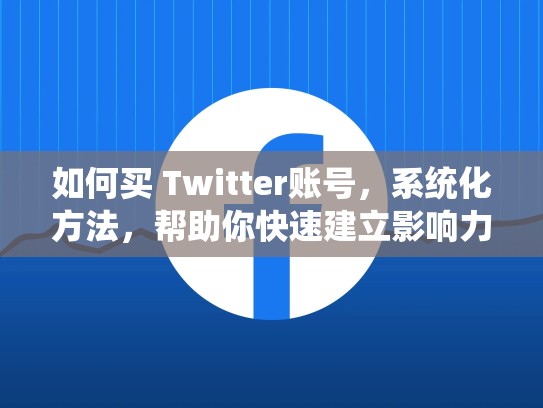 如何买 Twitter账号,系统化方法,帮助你快速建立影响力