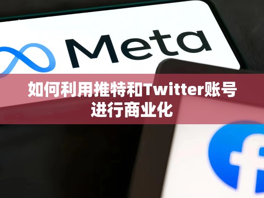 如何利用推特和Twitter账号进行商业化