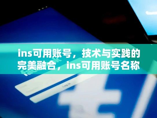 ins可用账号,技术与实践的完美融合,ins可用账号名称