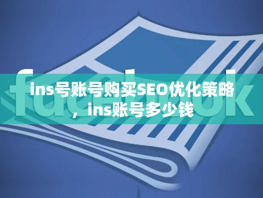 ins号账号购买SEO优化策略，ins账号多少钱