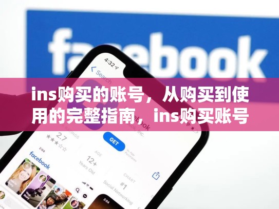 ins购买的账号,从购买到使用的完整指南,ins购买账号平台