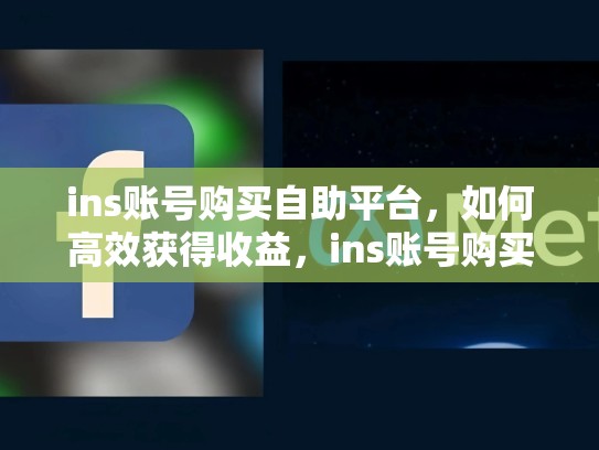 ins账号购买自助平台,如何高效获得收益,ins账号购买自助平台有哪些