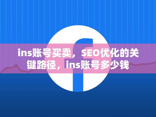 ins账号买卖,SEO优化的关键路径,ins账号多少钱