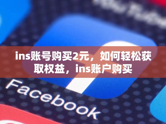 ins账号购买2元,如何轻松获取权益,ins账户购买