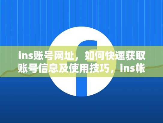 ins账号网址,如何快速获取账号信息及使用技巧,ins帐号网址