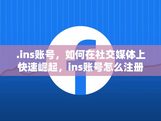 .ins账号，如何在社交媒体上快速崛起，ins账号怎么注册