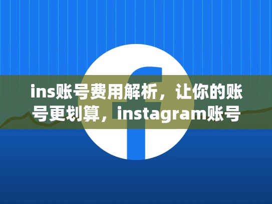 ins账号费用解析,让你的账号更划算,instagram账号多少钱一个