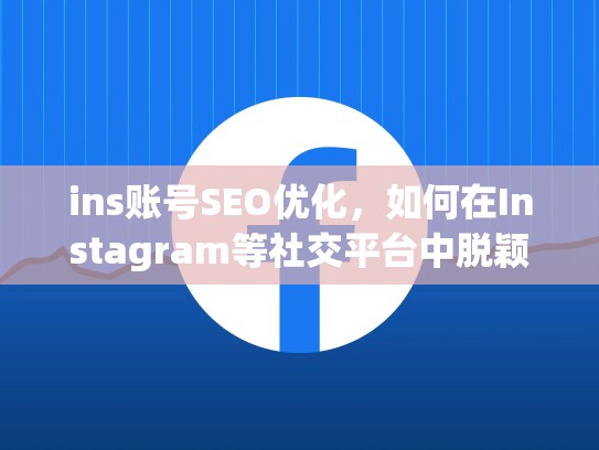 ins账号SEO优化,如何在Instagram等社交平台中脱颖而出,ins上的账号