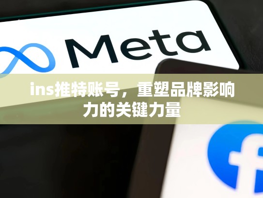 ins推特账号,重塑品牌影响力的关键力量