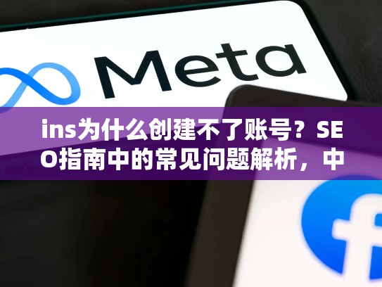 ins为什么创建不了账号?SEO指南中的常见问题解析,中国大陆怎样注册ins账号