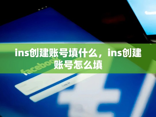ins创建账号填什么,ins创建账号怎么填