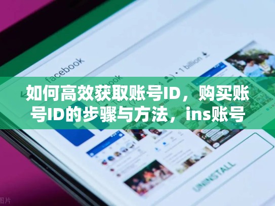 如何高效获取账号ID,购买账号ID的步骤与方法,ins账号能买吗