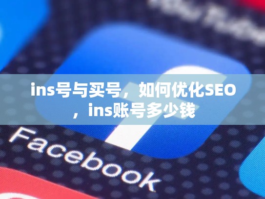 ins号与买号,如何优化SEO,ins账号多少钱