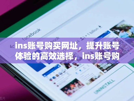 ins账号购买网址,提升账号体验的高效选择,ins账号购买网址是什么