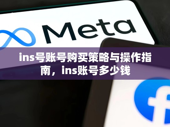 ins号账号购买策略与操作指南,ins账号多少钱