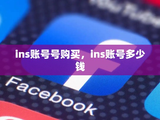 ins账号号购买,ins账号多少钱