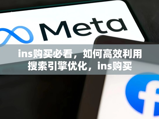 ins购买必看,如何高效利用搜索引擎优化,ins购买