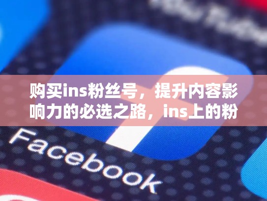 购买ins粉丝号,提升内容影响力的必选之路,ins上的粉丝是真的吗