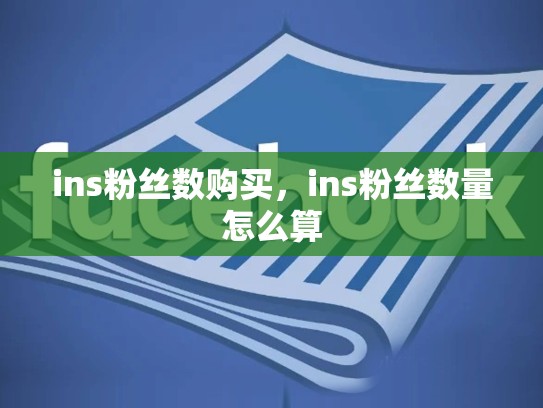 ins粉丝数购买,ins粉丝数量怎么算