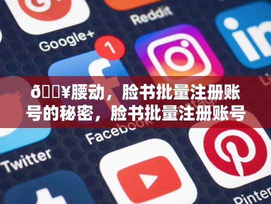 🔥腰动，脸书批量注册账号的秘密，脸书批量注册账号怎么弄