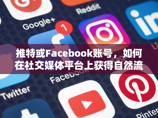 推特或Facebook账号,如何在社交媒体平台上获得自然流量