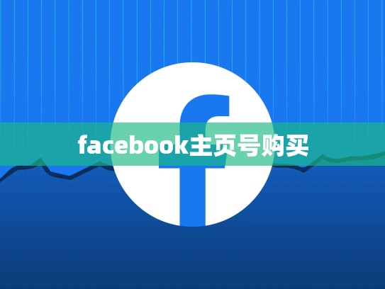 facebook主页号购买