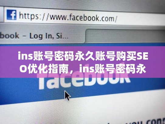 ins账号密码永久账号购买SEO优化指南，ins账号密码永久账号购买安全吗