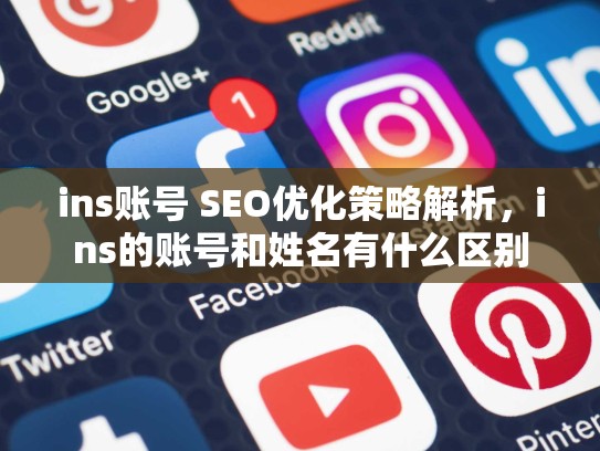 ins账号 SEO优化策略解析,ins的账号和姓名有什么区别