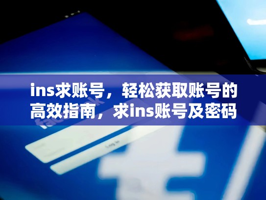 ins求账号，轻松获取账号的高效指南，求ins账号及密码