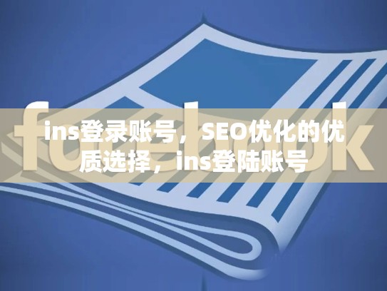 ins登录账号,SEO优化的优质选择,ins登陆账号