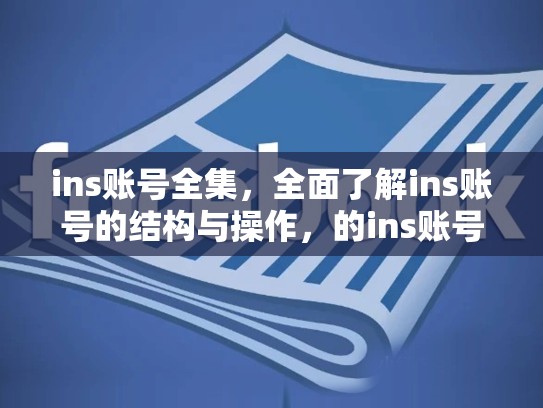 ins账号全集,全面了解ins账号的结构与操作,的ins账号