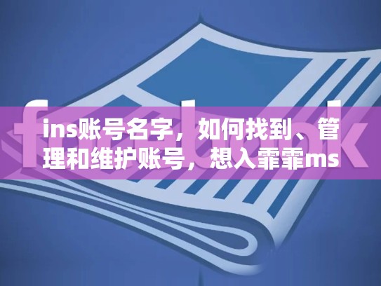 ins账号名字,如何找到、管理和维护账号,想入霏霏msfeifeiins账号名字