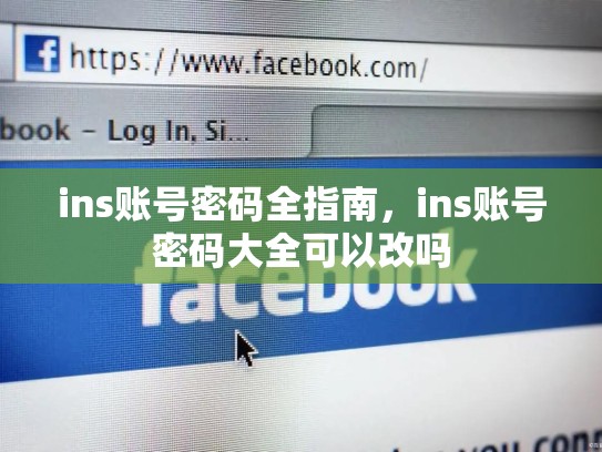 ins账号密码全指南,ins账号密码大全可以改吗