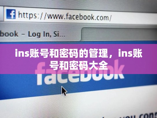 ins账号和密码的管理,ins账号和密码大全