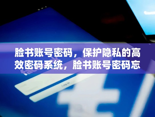 脸书账号密码，保护隐私的高效密码系统，脸书账号密码忘记怎么办