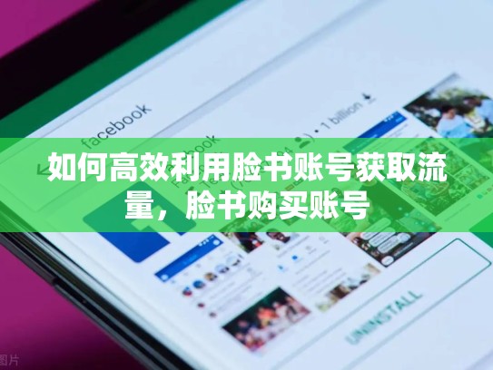 如何高效利用脸书账号获取流量，脸书购买账号