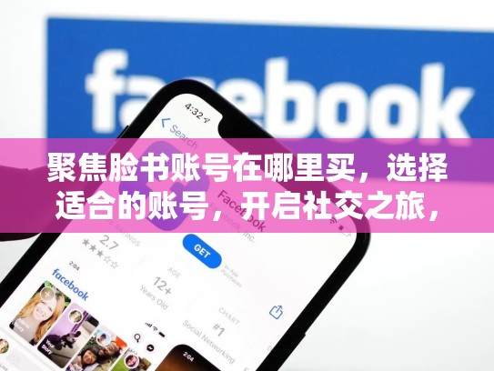 聚焦脸书账号在哪里买，选择适合的账号，开启社交之旅，脸书账号在哪里买安全