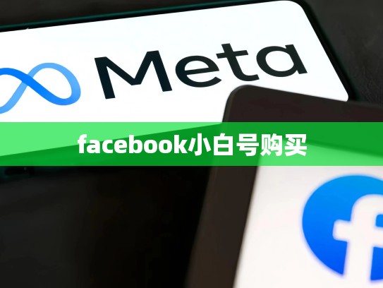 facebook小白号购买