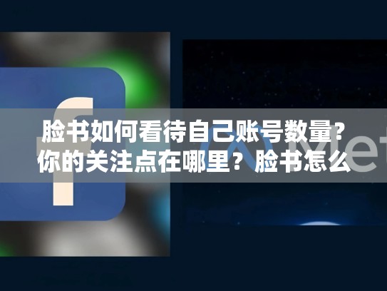 脸书如何看待自己账号数量？你的关注点在哪里？脸书怎么看自己账号多少年了