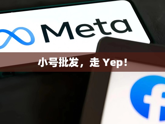 小号批发，走 Yep！