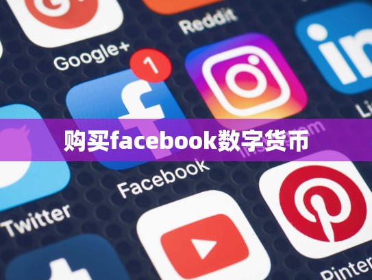 购买facebook数字货币