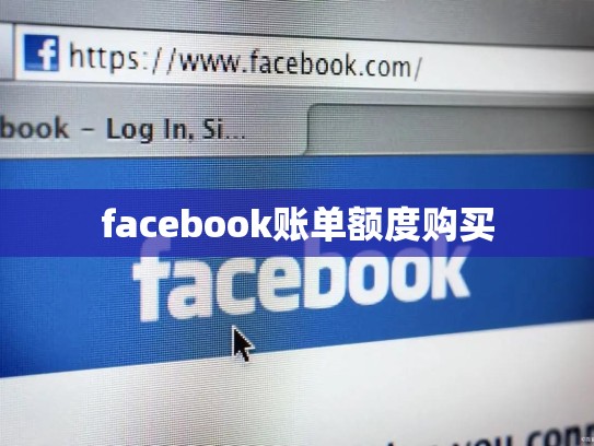 facebook账单额度购买