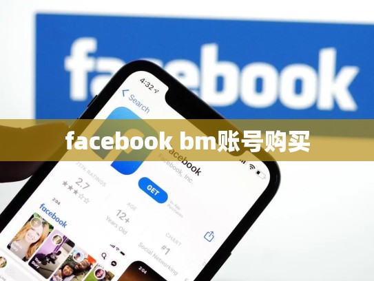 facebook bm账号购买