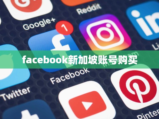 facebook新加坡账号购买