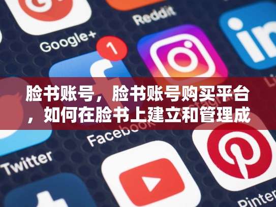 脸书账号，脸书账号购买平台，如何在脸书上建立和管理成功的小型企业账号？